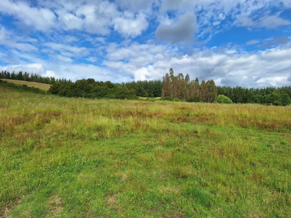 refugio huellanto sexta faja desde $19.990.000