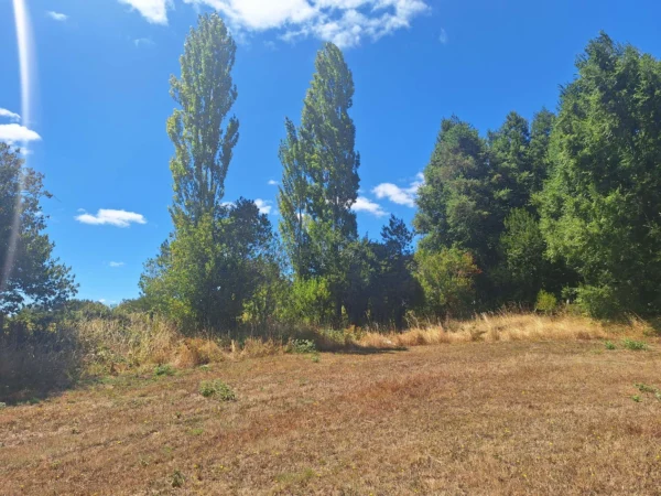 séptima faja hermosas parcelas a 20 min de villarrica desde $28.000.000