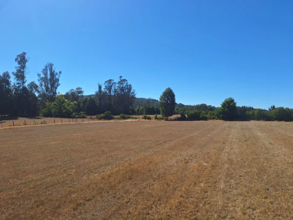 séptima faja hermosas parcelas a 20 min de villarrica desde $28.000.000