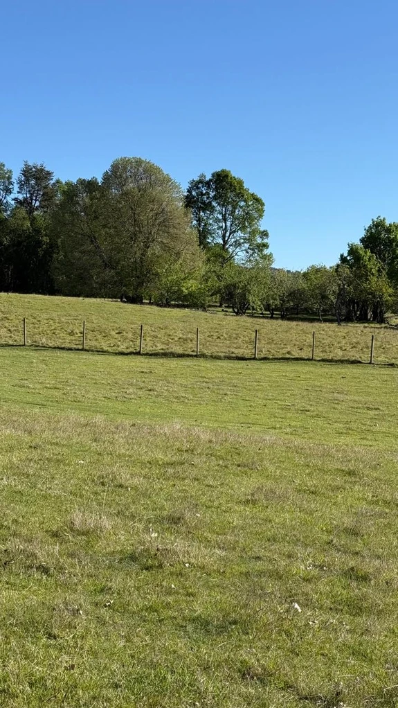 cumbres de puc贸n $29.990.000