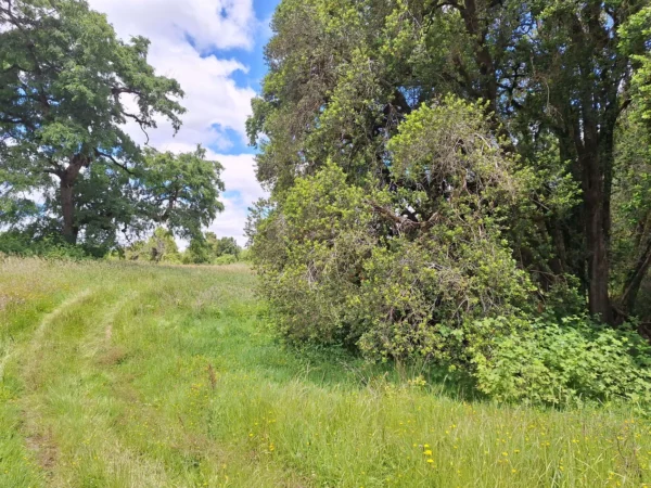 fundo santa clara $24.990.000 Últimas parcelas