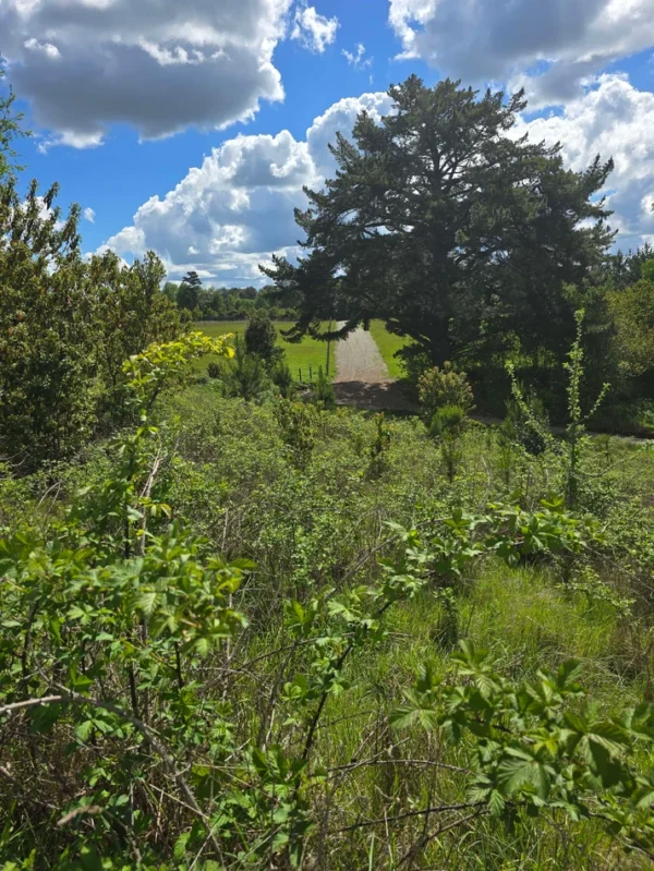 campo san nicolás Últimas parcelas disponibles
