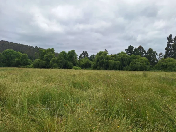 aires de paillaco $23.990.000