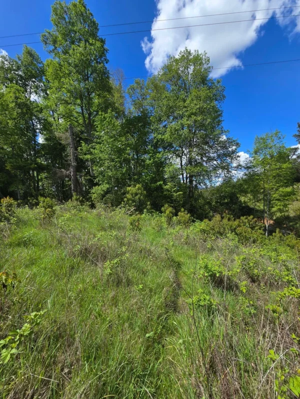 campo san nicolás Últimas parcelas disponibles