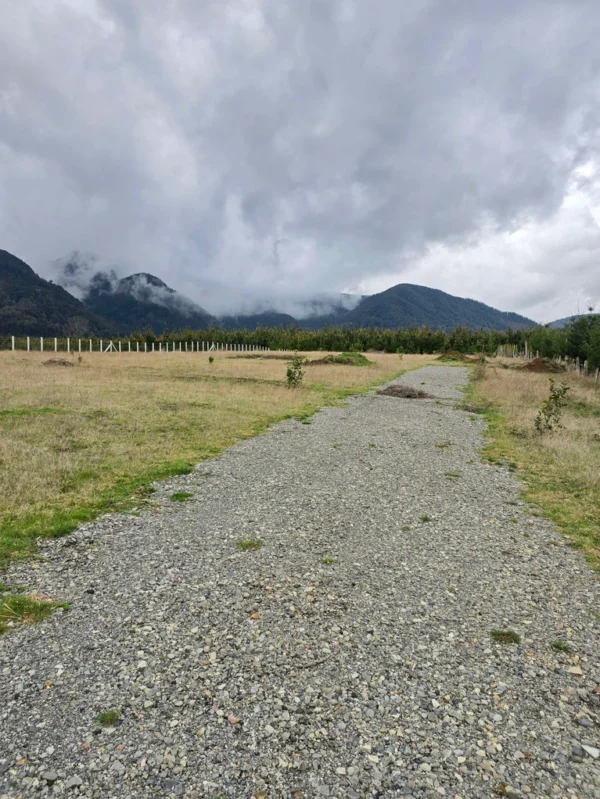 parcelas ruta cunco melipeuco