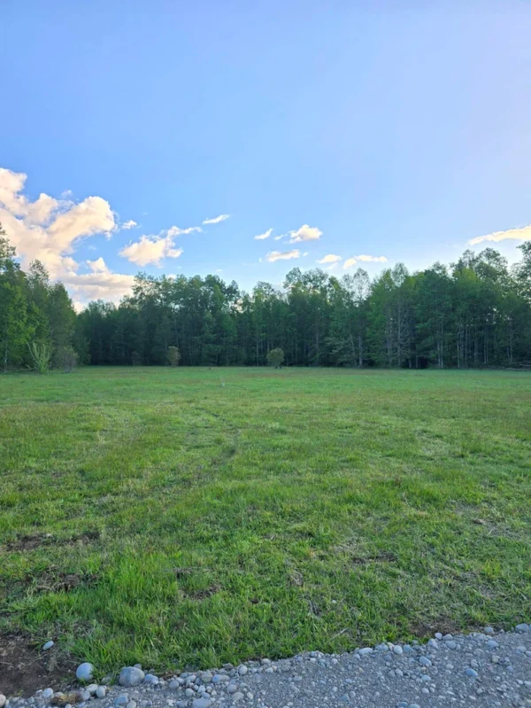 raíces de relún a 15 km de villarrica