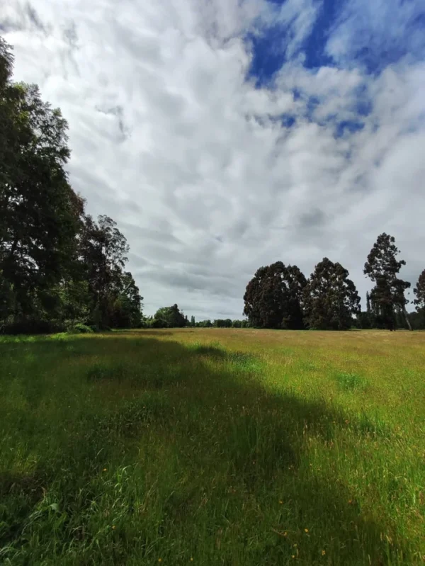 aires de paillaco $23.990.000