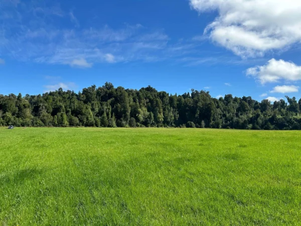coihueco riverside puerto octay