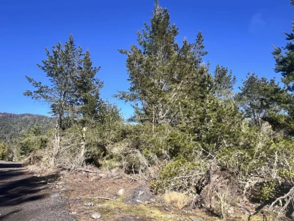 parcelas a minutos del lago calafquén $30.000.000