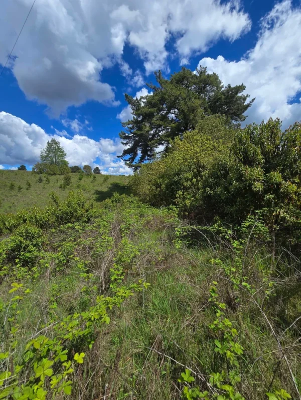 campo san nicolás Últimas parcelas disponibles