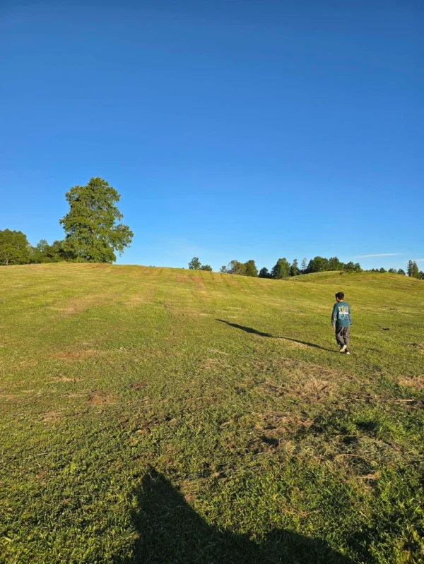 la comarca a solo 10 km de villarrica desde $39.990.000