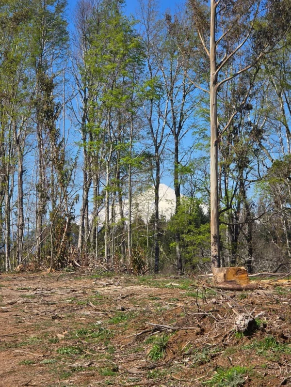 a solo 15 min de villarrica $38.000.000 crédito directo