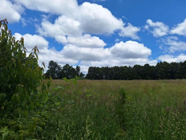 fundo santa clara $24.990.000 Últimas parcelas