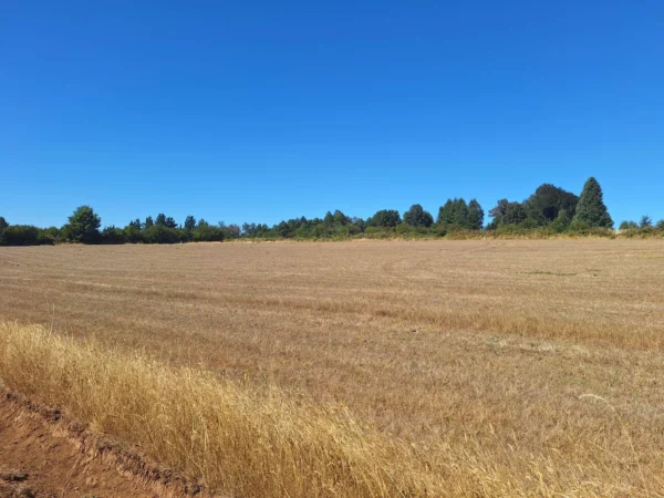 séptima faja hermosas parcelas a 20 min de villarrica desde $28.000.000