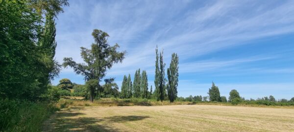 aires de puerto nuevo $22.990.000