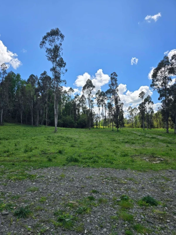 fundo ancahual villarrica loncoche