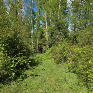 a 20 min de licanray parcelas de 1 hectárea con estero