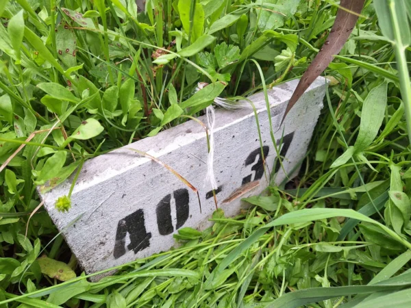 aires de paillaco $23.990.000