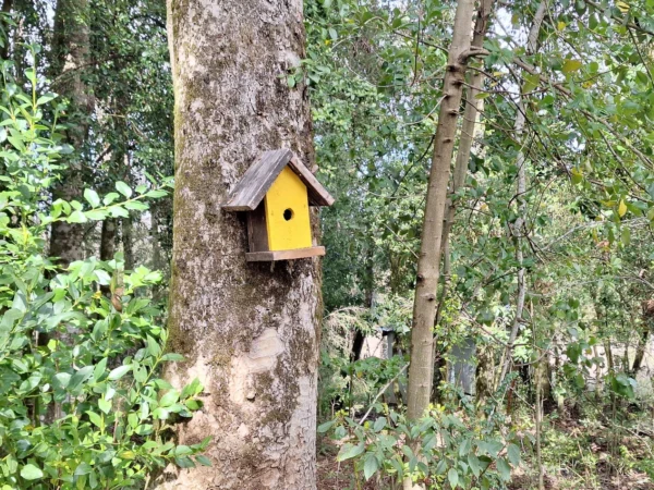 a 20 min de villarrica parcelas con luz, agua y cercadas
