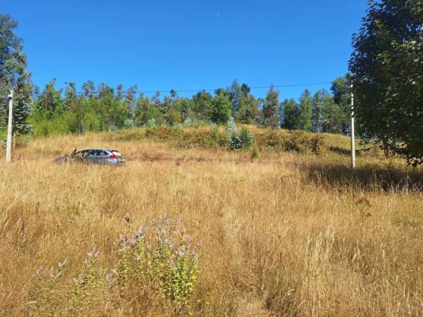 parque nativo sector huaqui $30.000.000 opción de crédito directo