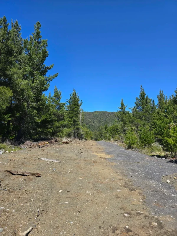 parcelas a minutos del lago calafquén $30.000.000