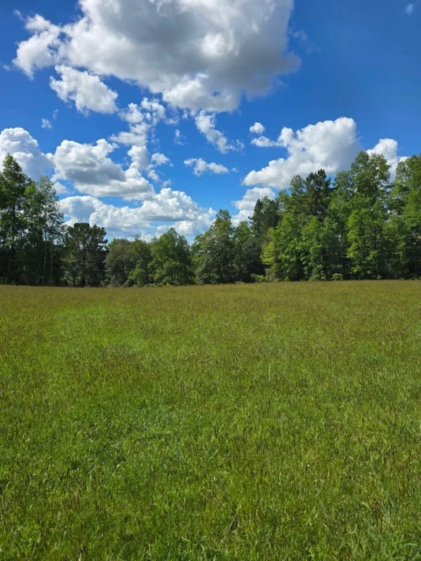 campo san nicolás Últimas parcelas disponibles