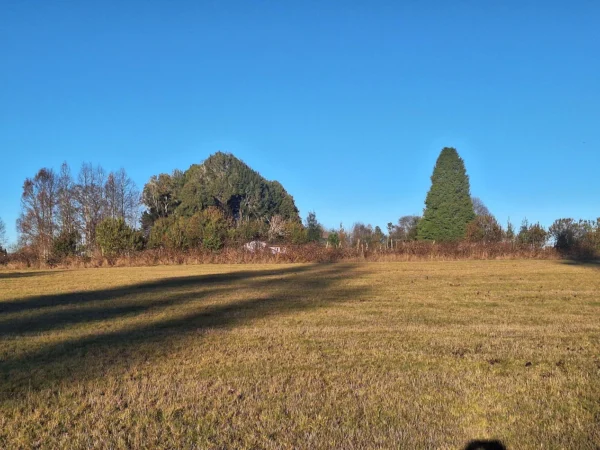 séptima faja hermosas parcelas a 20 min de villarrica desde $28.000.000