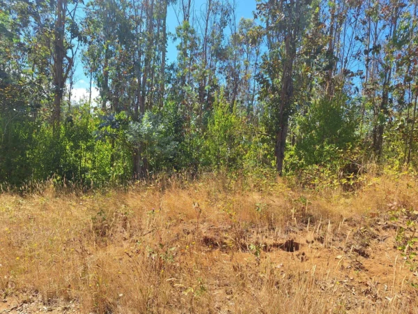 parque nativo sector huaqui $30.000.000 opción de crédito directo