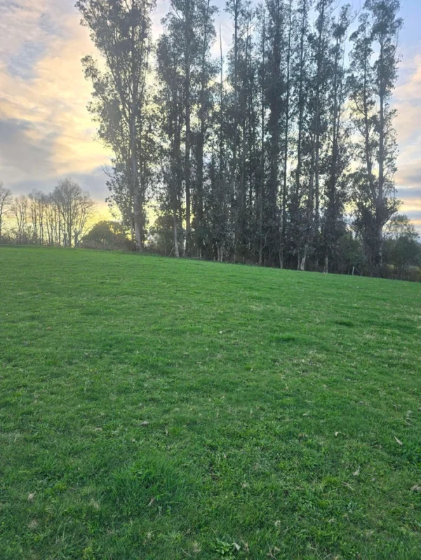 rinconada a solo 15 min de villarrica