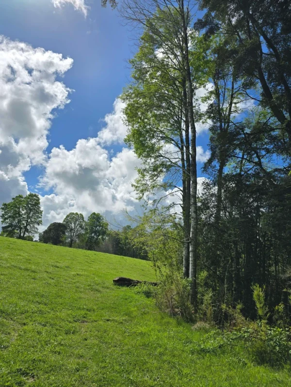 rinconada a solo 15 min de villarrica