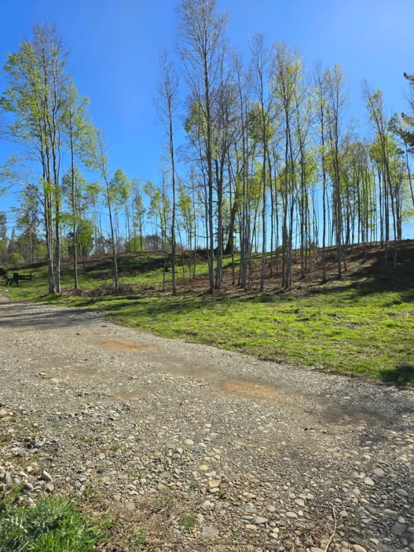 a solo 15 min de villarrica $38.000.000 crédito directo