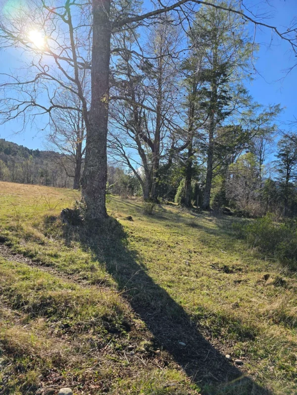 parcelas pino huacho lican ray