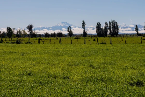 verde pradera 1 y 2 desde $15.990.000 crédito directo
