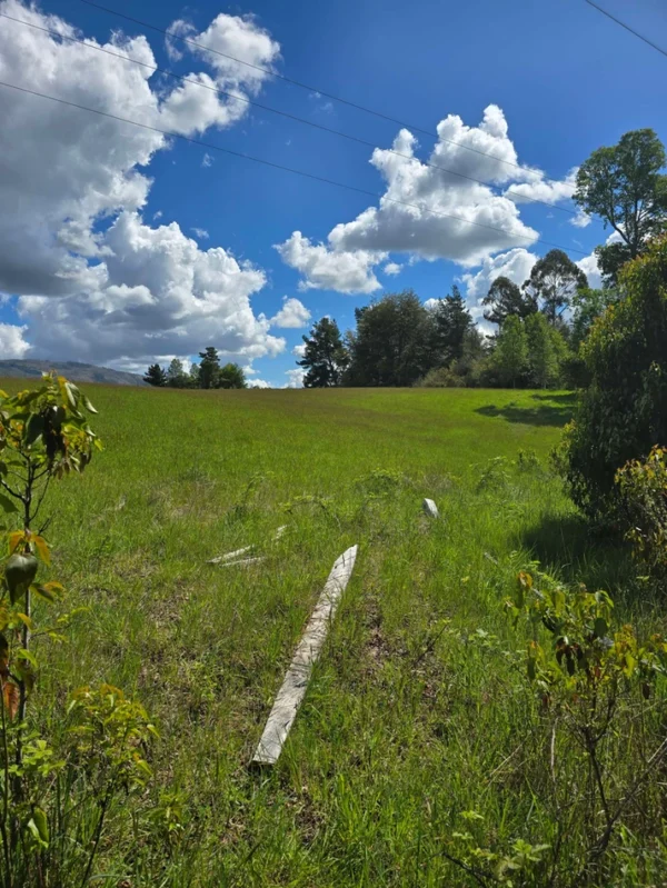 campo san nicolás Últimas parcelas disponibles