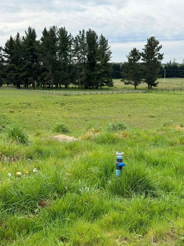 terrazas de crucero desde $25.000.000