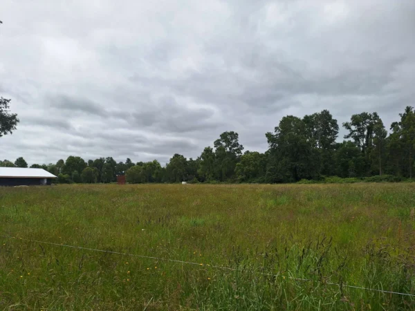 aires de paillaco $23.990.000