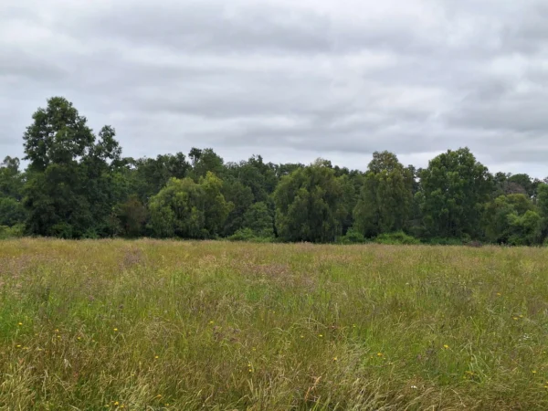 aires de paillaco $23.990.000