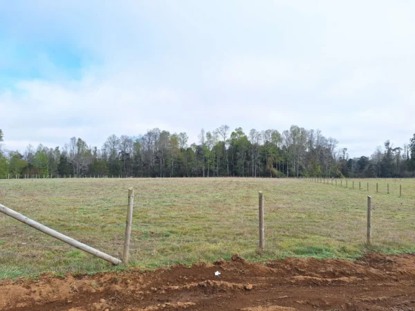 a 20 min de villarrica parcelas con luz, agua y cercadas