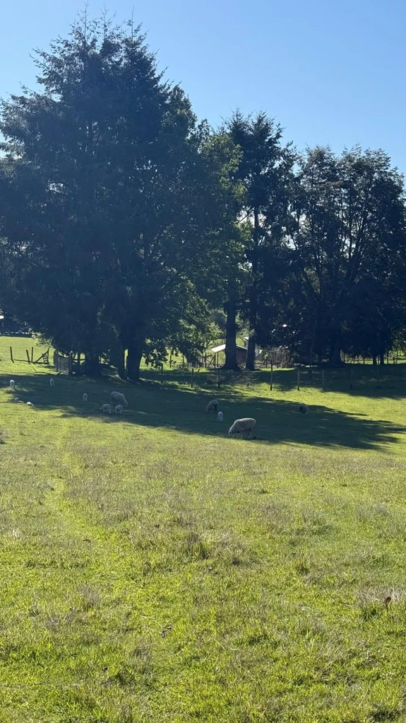 cumbres de puc贸n $29.990.000