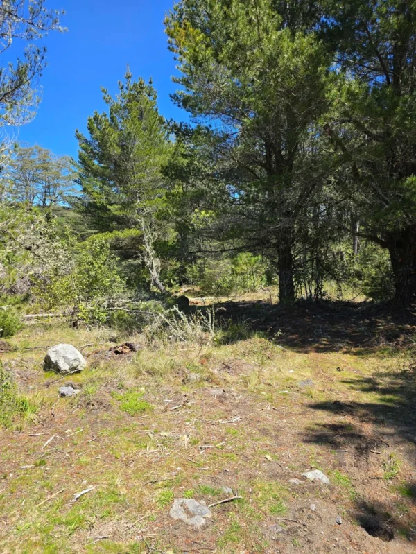 parcelas a minutos del lago calafquén $30.000.000