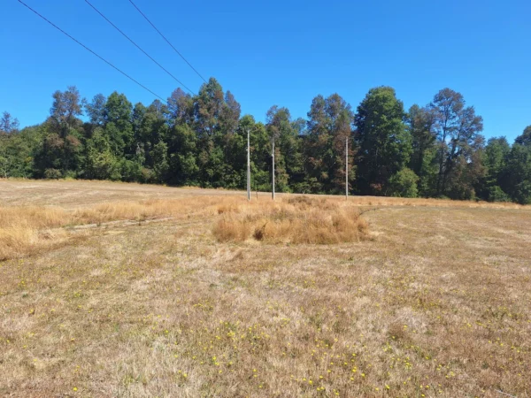 parque nativo sector huaqui $30.000.000 opción de crédito directo