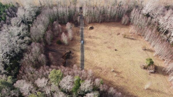 raíces de relún a 15 km de villarrica