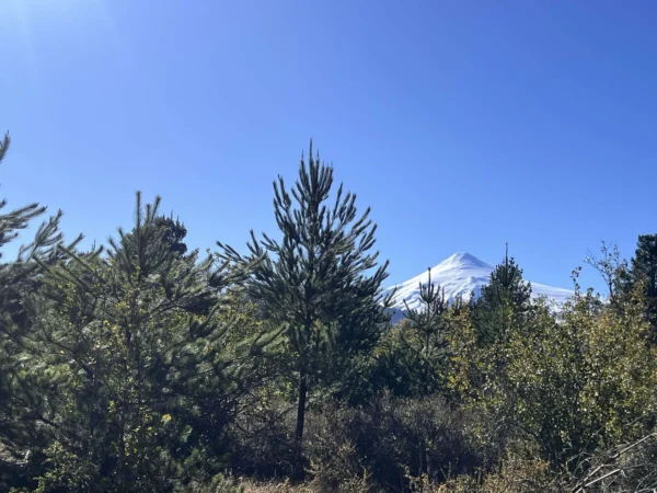 parcelas a minutos del lago calafquén $30.000.000