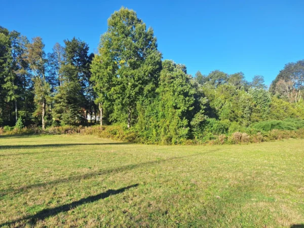 rinconada a solo 15 min de villarrica