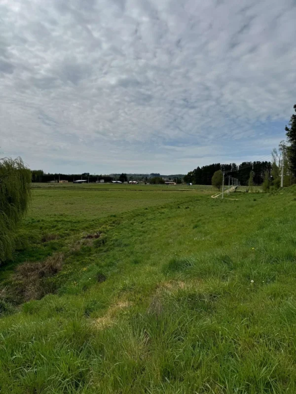 terrazas de crucero desde $25.000.000