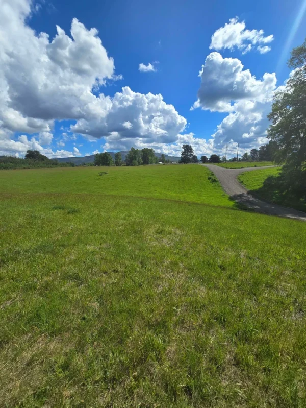 campo san nicolás Últimas parcelas disponibles