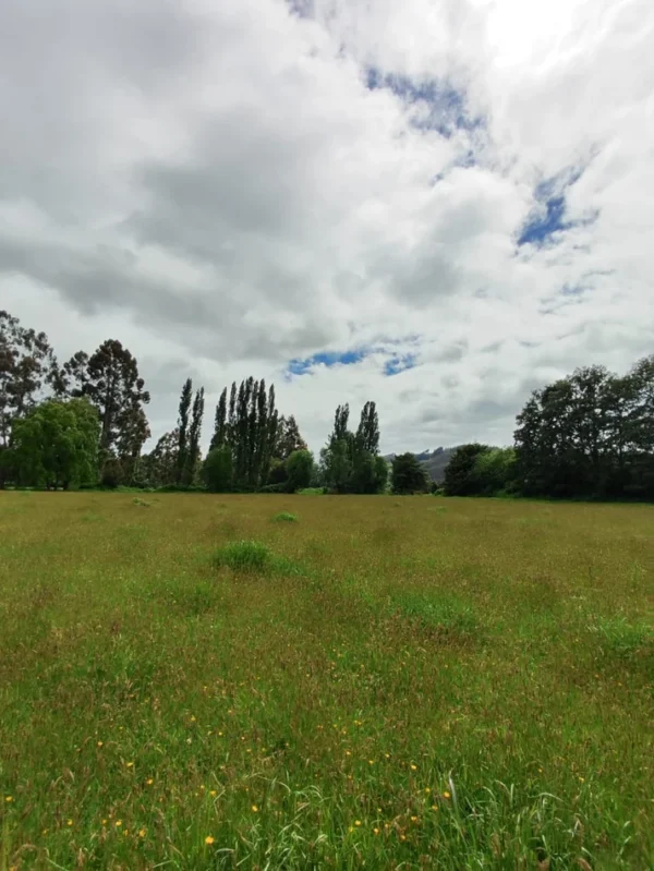 aires de paillaco $23.990.000