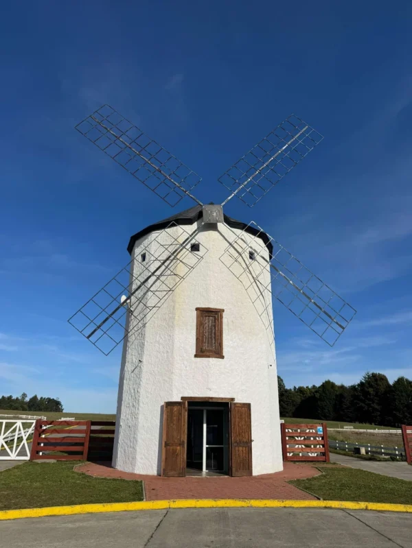 los molinos puerto octay