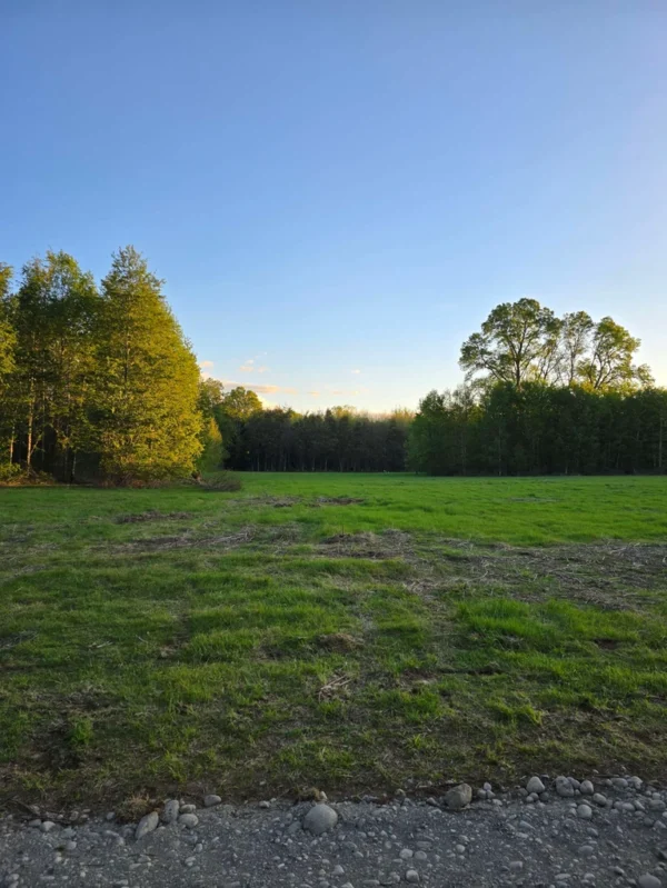 raíces de relún a 15 km de villarrica