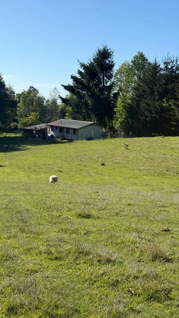 cumbres de puc贸n $29.990.000